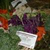 Vegetable Basket